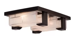 Silver Light 248.59.2 Настенно-потолочный светильник ,кафе,коридор,кухня,прихожая
