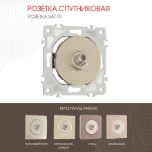 Розетка am-202 202.42-1.shampan купить в Москве