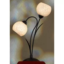 Lussole LSF-6294-02 Настольная лампа ,кафе,гостиная,спальня