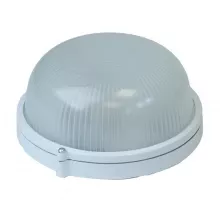 ЭРА НБП 03-100-001 Настенно-потолочный светильник 