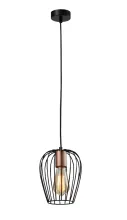 Rivoli 5063-201 Подвесной светильник 