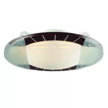 Потолочный светильник Chasha MW-Light Чаша 264011003 купить в Москве