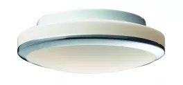 Настенно-потолочный светильник влагозащищенный ST Luce SL501 SL501.552.02 купить в Москве