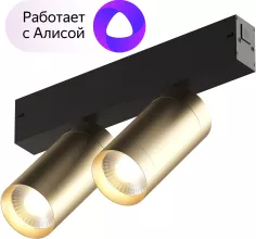 Трековый светильник Smart Spot DK8012-BG купить в Москве