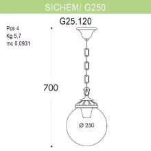 Уличный подвесной светильник Globe 250 G25.120.000.BXE27 купить в Москве