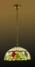 Подвесной светильник Odeon Light Traube 2267/2 купить в Москве