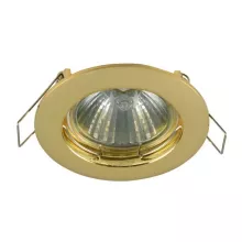 Точечный светильник Metal Modern DL009-2-01-G купить в Москве