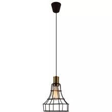 Favourite 1595-1P Подвесной светильник ,кафе,гостиная,кухня,столовая