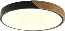 Потолочный светильник Alberro ZRS.01287.36 купить в Москве