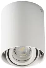 Точечный светильник Kanlux TOLEO 26111 купить в Москве