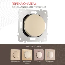 Переключатель am-202 202.34-1.shampan купить в Москве