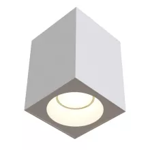 Maytoni C030CL-01W Уличный потолочный светильник 