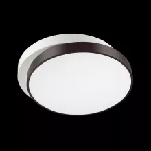 Lumion 4509/72CL Потолочный светильник 