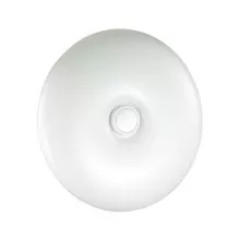 Sonex 3021/DL Настенно-потолочный светильник 
