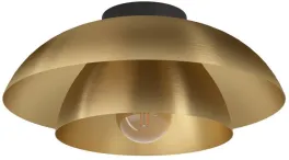 Потолочный светильник CENCIARA 900848 купить в Москве