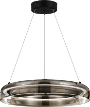 Подвесной светильник Foray SL6019.333.01 купить в Москве