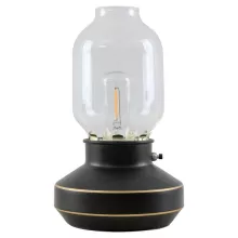 Интерьерная настольная лампа Anchorage LSP-0569 купить в Москве