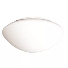 Arte Lamp A7920AP-1WH Настенно-потолочный светильник ,коридор,кухня,прихожая
