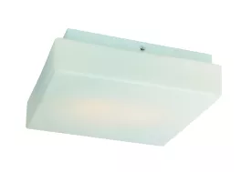 Настенно-потолочный светильник влагозащищенный IP44 ST Luce SL503 SL503.502.02 купить в Москве