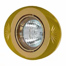 Точечный светильник  16006A PG-G купить в Москве