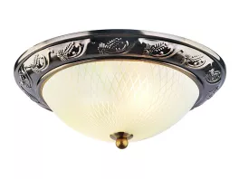 Потолочный светильник Arte Lamp 28 A3019PL-2AB купить в Москве