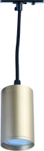 Трековый светильник однофазный TR45 - MG подвесной под лампу золото Б0054184 ЭРА GU10 S купить в Москве