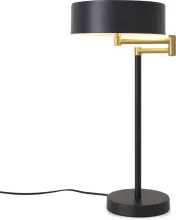 Интерьерная настольная лампа Izza FR4008TL-02BBS купить в Москве