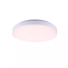 Globo 41804 Влагозащищенный настенно-потолочный светильник ,ванная