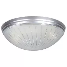 Horoz 400-011-104 Потолочный светильник 
