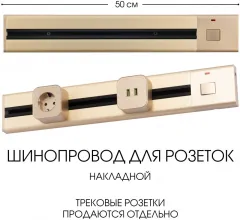 Электроустановочный шинопровод Am-track-sockets 385205TOB/50 Gold купить в Москве