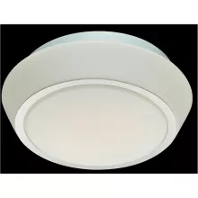 ST Luce SL496.502.03 Влагозащищенный настенно-потолочный светильник ,санузел ,ванная,бассейн,баня
