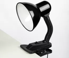 Офисная настольная лампа TL2N 000002954 купить в Москве