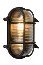 Настенный светильник уличный IP65 Lucide Dudley 11891/20/30 купить в Москве