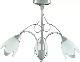 Потолочный светильник Arte Lamp  A4900PL-3SS купить в Москве