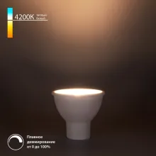 Лампочка светодиодная  BLGU1017 купить в Москве