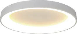 Потолочный светильник Niseko 8018 купить в Москве
