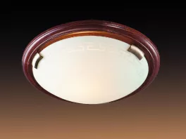 Sonex 160 Настенно-потолочный светильник ,прихожая