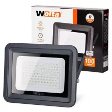 Wolta WFL-100W/06 Уличный прожектор 