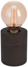 Интерьерная настольная лампа 2 Eglo Turialdo 1 900334 купить в Москве