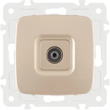 Розетка am-205 205.43-1.shampan купить в Москве