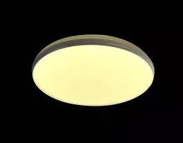 Настенно-потолочный светильник CW1L 000021511 купить в Москве