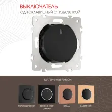 Выключатель am-202 202.31-1.black купить в Москве