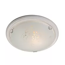Sonex 101/K Настенно-потолочный светильник ,кафе,коридор,гостиная,кухня,прихожая