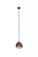 Подвесной светильник Brilliant Priya 93420/06 купить в Москве