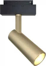 Maytoni TR019-2-10W3K-MG Трековый светильник 