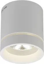 Точечный светильник Gita APL.0044.09.05 купить в Москве
