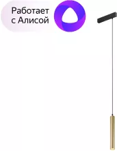 Трековый светильник Smart Spot DK8008-BG купить в Москве
