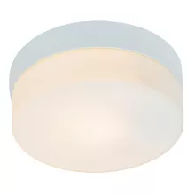 Arte Lamp A3211PL-1WH Влагозащищенный потолочный светильник ,ванная