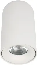 Точечный светильник Tictac 10220 White 3000K купить в Москве