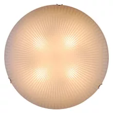 Globo 40602 Настенно-потолочный светильник ,дача,коридор,кухня,прихожая